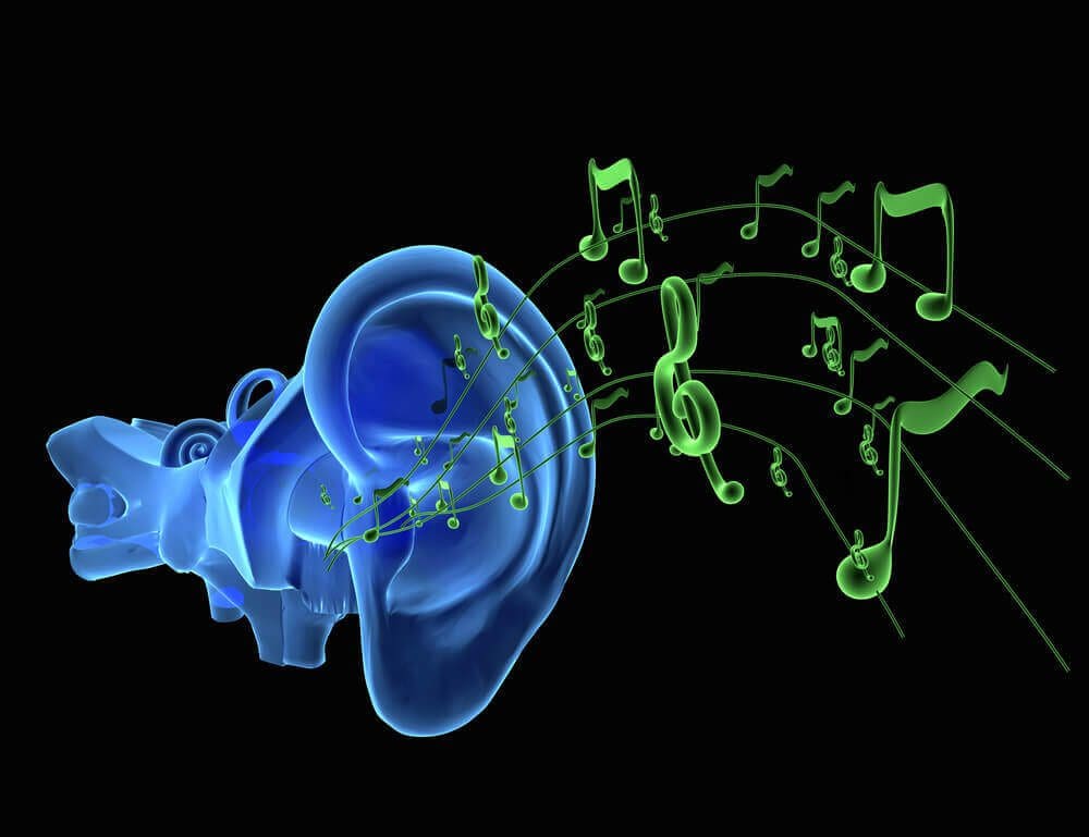In Ear Monitors for Musicians In Ear Monitors for Musicians